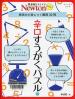 辛口すうがくパズル 発想力が身につく難問３０問